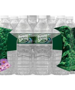 Poland Spring Brand 100% Natural Spring Water, 16.9 oz Plastic Bottles (Pack of 24) No flavor 16.91 Fl Oz (Pack of 24) 21 81btjdvGZYL