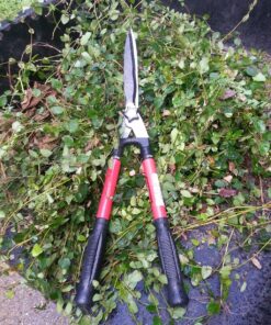 TABOR TOOLS B212A Telescopic Hedge Shears with Wavy Blade and Extendable Steel Handles. Extendable Manual Hedge Clippers for Trimming Borders, Boxwood, and Tall Bushes. B212A Extendable Hedge Shears 47 81buekz6e0L