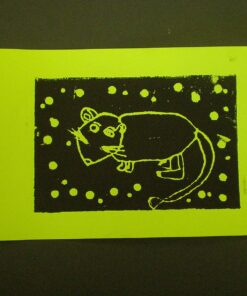 Neenah Astrobrights® Bright Color Paper, Letter Size Paper, 24 Lb, FSC Certified, Assorted Mini Pack, Pack Of 200 Sheets 1 ream of 200 Sheets Charisma 17 81bv rneUuL