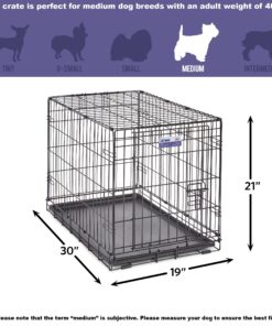 MidWest Homes for Pets Newly Enhanced Single Door iCrate Dog Crate, Includes Leak-Proof Pan, Floor Protecting Feet , Divider Pane l & New Patented Features Medium 29 81bvf5DevNL
