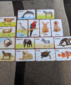 My First Touch and Feel Picture Cards: Animals (My First Board Books) 58 81c3ZpO5tyL