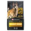 Purina Pro Plan Senior Dog Food With Probiotics for Dogs, Bright Mind 7+ Chicken & Rice Formula - 16 lb. Bag 16.00 Pound (Pack of 1)