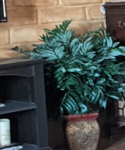 Nearly Natural 6718 35in. Double Bamboo Palm with Decorative Planter Silk Plant,Green Green 35in. 29 81c89HNFhOL