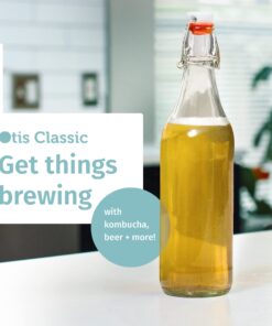 Otis Classic Swing Top Glass Bottles - Set of 6, 16oz w/Marker & Labels - Clear Bottle with Caps for Juice, Water, Kombucha, Wine, Beer Brewing, Kefir Milk or Eggnog 30 81c9BZvNaTL