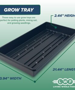 10 Plant Growing Trays (No Drain Holes) - 20" x 10" - Perfect Garden Seed Starter Grow Trays: for Seedlings, Indoor Gardening, Growing Microgreens, Wheatgrass & More - Soil or Hydroponic Black No drain holes 26 81cBzueMfoL