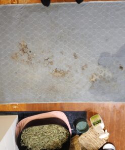 Biokleen Bac-Out Enzyme Stain & Odor Remover - 128 Ounces - Destroys Stains & Odors Safely, for Pet Stains, Laundry, Diapers, Wine, Carpets, & More, Eco-Friendly, Non-Toxic 1 35 81cCkq3lDEL