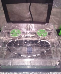 EarlyGrow 93763 Medium Seed and Herb Domed Propagator with Vented Side Height Extension, Extender, Green Medium with Side Extender 53 81cD2HjJhQL