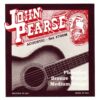 John Pearse 700M Phosphor Bronze Acoustic Guitar Strings None 10 81cDeD6DE9L