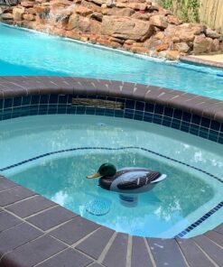 Poolmaster Adustable Chlorine Dispenser for Swimming Pools and Spas, Mallard 37 81cFC5EVeL