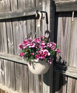 Gray Bunny 2 Pack Outdoor Plant Hanger Hook, 6” Hand Forged Straight Iron Wall Hooks for Bird Feeders, Lanterns, Wind Chimes, Patio Decor - Black 26 81cGlrYtzL