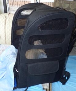 Pet Gear I-GO2 Roller Backpack, Travel Carrier, Car Seat for Cats/Dogs, Mesh Ventilation, Included Tether, Telescoping Handle, Storage Pouch 22.0"L x 13.5"W x 16.0"H 41 81cIO6SEOfL