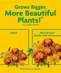 Miracle-Gro 75052430 All-Purpose Garden Soil, 2 CF 18 81cJrbFW8VL