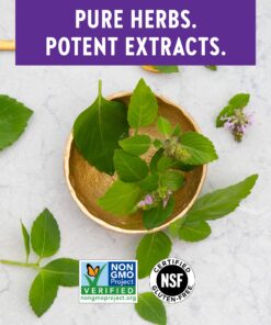 New Chapter Stress Relief Supplement - Holy Basil Force with Supercritical Holy Basil for Stress Support + Immune Support + Non-GMO Ingredients - Vegetarian Capsules, 120 Count 120 Count (Pack of 1) Vegetarian Capsule 12 81cKUBWe9hL