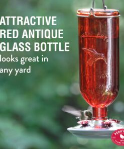 Perky-Pet 8109-2 Antique Glass Bottle Hummingbird Feeder-16-Ounce Capacity, Red beige 1 Count (Pack of 1) Elegant 21 81cKhQbbzlL