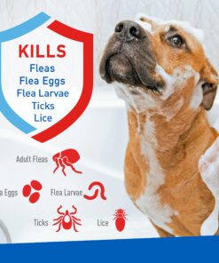 Adams Plus Flea & Tick Shampoo with Precor for Cats, Kittens, Dogs & Puppies Over 12 Weeks Of Age Sensitive Skin Flea Treatment | Kills Adult Fleas, Flea Eggs, Ticks, and Lice 12 Ounces Shampoo Only 24 81cOkGJR8kL 1