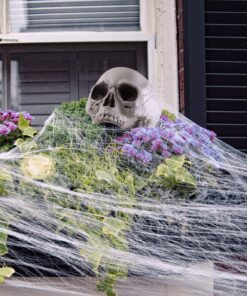 Prextex 6.5" Plastic Skull Head Halloween Decor | Realistic Life-Size Skeleton Skull Halloween & Day of The Dead Decoration | Scary Human Skull Replicas Skeleton Decor | Head Skulls Decor 26 81cOmMHYCmL 1