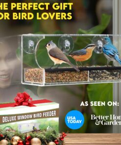 Extra Large Window Bird Feeders for Outside - Clear Bird Feeders for Viewing - Extra Strong Suction Cup Bird Feeder Window - Drainage Holes, Detachable Large Seed Tray, and Rubber Perch for Wild Birds Rectangular 21 81cQ L8MvOL