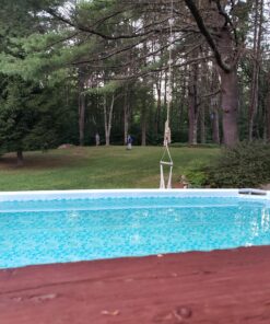 CuLator Metal Eliminator & Stain Preventer for Pools & Spas PowerPak 1.0 1-Pack 40 81cRh2 Jw5L