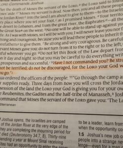 G.T. Luscombe Company, Inc. Accu-Gel Bible-Hi-Glider Bible Study Set | No Bleed Solid Gel Highlighter | No Smearing or Fading | Long Lasting Bright Translucent Colors (Set of 6) 1-Set Set of 6 48 81cTy8OrOIL