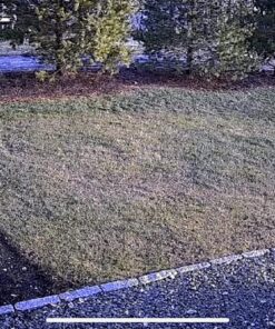 LaView 4MP Bulb Security Camera 2.4GHz,360° 2K Security Cameras Wireless Outdoor Indoor Full Color Day and Night, Motion Detection, Audible Alarm, Easy Installation, Compatible with Alexa White 32 81cUSs1fYAL