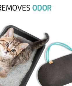 PURGGO Car Air Freshener - Lasts 365+ Days No Chemicals 100% Activated Bamboo Charcoal Fragrance-Free Deodorizer, Natural Auto Odor Eliminator, Purifier, Neutralizer, Absorb Smoke Smell 1 Count (Pack of 1) 41 81cUg3CHJL