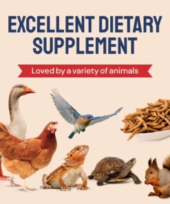 Hatortempt 10lbs Bulk Dried Mealworms - Premium Non-GMO Organic Chicken Feed, Nutritious High Protein Meal Worms- Food and Treats for Laying Hens, Wild Birds, Ducks, Reptiles, Fish, Hedgehogs, Turtles 10 Pound (Pack of 1) 26 81cbbPAmG5L