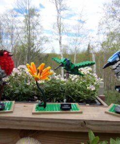 LEGO Ideas 21301 Birds Model Kit 44 81cdKA KqJL