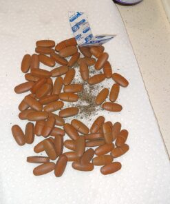 New Chapter Women's Multivitamin 50 Plus for Cellular Energy, Heart & Immune Support with 20+ Nutrients + Astaxanthin - Every Woman's One Daily 55+, Gentle on The Stomach, 72 Count 72 Count (Pack of 1) 31 81cettWPmHL 1