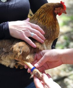 Alternative view of Happy Hen Treats Spiral Leg Bands for Pets, Size 9