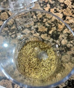 GROSCHE 17.7oz BPA-Free Tea Infuser Teapot with Drip-Free, Easy Clean Design 17.7 fl oz Clear 55 81ckHJcccL