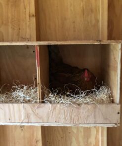 MagJo Premium Aspen 12 Pack Excelsior Nesting Liners (12 Pack), Chicken Bedding for Nesting Box, Nesting Pads Box Liners, Chicken Bedding for coop, Chick Bedding, USA Grown & Sustainably Harvested 37 81cp5FPXoqL