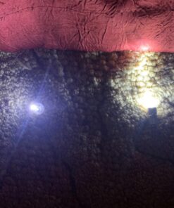 HOSL Mini Led Balloon Lights 60PCS Small Lantern Lights for Balloons, Paper Lanterns, Craft, Halloween, Wedding, Party Decorations String Lights Battery Operated (White, Non-Blinking) White, Non-Blinking 39 81crADslWnL