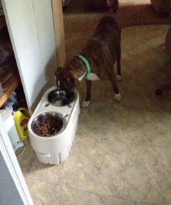 EBPP Advanced Pet Dental Care Water Additive - Premium Cat & Dog Dental Care and Dog Breath Freshener - No Brush Formula Tartar & Plaque Remover for Dogs Teeth 33 81crcY8P8EL