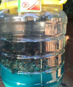 Flybuster Fly Trap - Outdoor Living, Fly Trap, Pest Control Trap for Garden 29 81crp3NdLBL