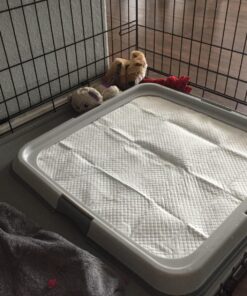 Dogit Dog and Puppy Pee Pad Holder, Puppy Training Pad Holder for Pee Pads, 70576 24 81csfsh4fsL