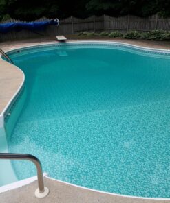 Natural Chemistry 07400 Stain Free Pool Stain Remover, 1-3/4 Pounds 47 81cslba6RwL