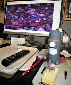 Celestron - 5 MP Digital Microscope Pro - Handheld USB Microscope Compatible with Windows PC and Mac - 20x-200x Magnification - Perfect for Stamp Collecting, Coin Collecting Handheld Digital Microscope Pro 107 81cuP29pWiL