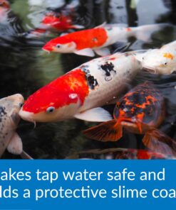 API POND STRESS COAT Pond Water Conditioner 32-Ounce Bottle Water Treatment 13 81cw5yxNJL