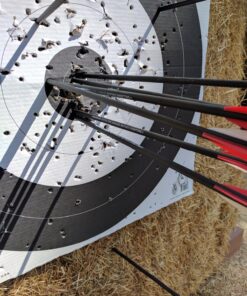 ANTSIR 30 Inch Carbon Arrows Practice Targeting Arrows with Removable Tips for Compound and Recurve Bow(Pack of 12) A-Red White 33 81cwRRwLrqL