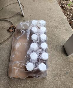 Tropicana 100% Juice, Apple Juice, 10 fl oz (Pack of 24) - Real Fruit Juices, Vitamin C Rich, No Added Sugars, No Artificial Flavors 10 Fl Oz (Pack of 24) 35 81cwSvPLwrL