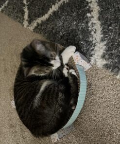 Catstages Scratch, Snuggle & Rest Corrugated Cat Scratcher With Catnip (packaging may vary) Scratch Snuggle & Rest 36 81cxp5PrjrL