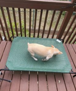 Coolaroo Gale Pacific The Original Cooling Elevated Dog Bed, Indoor and Outdoor, Large, Brunswick Green, 51.00" x 31.50" x 8.00" 51.0"L x 31.5"W x 8.0"Th 46 81cxv 4ALnL