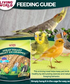 Living World - Spray Millet, 17.6 Oz – Premium Treat for Budgies, Canaries, Finches, Cockatiels and Other Pet Birds 1.1 Pound (Pack of 1) 16 81czO4KGXTL