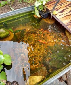 Flex Seal, 14 oz, 2-Pack, Clear, Stop Leaks Instantly, Transparent Waterproof Rubber Spray On Sealant Coating, Perfect for Gutters, Wood, RV, Campers, Roof Repair, Skylights, Windows, and More 28 81d N0Ar1lL