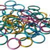 The Classics 1-Inch Diameter 50 Count Book Rings in Assorted Bright Colors (TPG-189) 2 81d cay2wpL