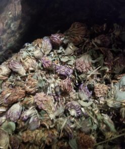 Organic Red Clover Blossom Whole 1LB 8 81d0m5Vy7nL
