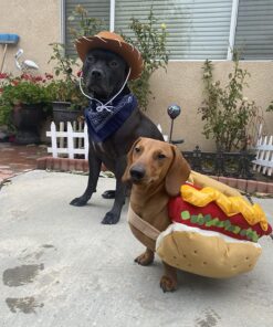 Funny Party Hats Cowboy Hat for Kids- Western Hat - Kids Cowboy Hat -Sheriff Hat - Children's Cowboy Costume Dress Up Brown Cowboy Hat & Navy Bandanna 16 81d1rrDtVhL