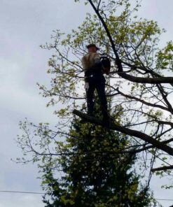 YXGOOD Tree Working Safety Belt A Half Body Harness 19 81d2m2GnBaL