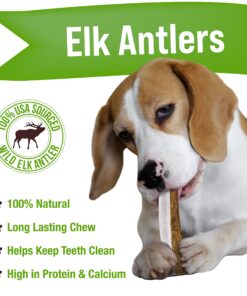 Alternative view of Buck Bone Organics Dog Chews, Antlers for Dogs, Premium Natural Elk, Long Lasting Dog Bones for Aggressive Chewers, No Preservatives, Wild Shed in The USA (Medium 2 Pack) Medium 2 Pack