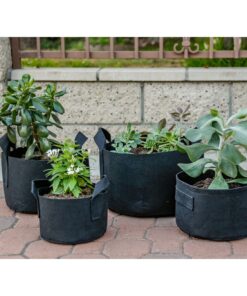 247Garden 5-Pack 1-Gallon Aeration Fabric Pot/Plant Grow Bag w/Handles (260 GSM, Black, 6H x 7D) 1 Gallon 33 81d8oA4zVOL